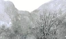 2023年1月29日适合开张吗 开店日子吉利吗