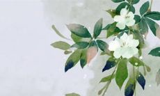 2023兔年全年开张日子查询 开店铺最吉利的日子