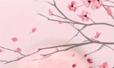 2023年2月4日立春店铺开张好吗 当日老黄历查询