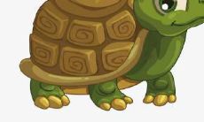 梦见乌龟代表什么意思?