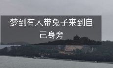 梦到有人带兔子来到自己身旁