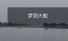 梦到大蛇