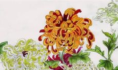 2023年1月11日适合开张吗 开店日子吉利吗