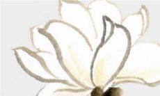 2023年1月9日开张好吗 今日营业怎么样