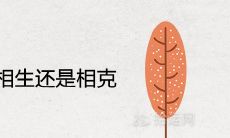 男木和女木相生还是相克 夫妻命运详解