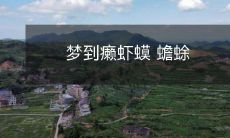 梦到癞虾蟆 蟾蜍