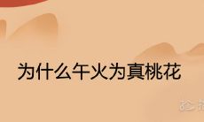 为什么午火为真桃花