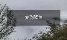 梦到鲫鱼