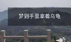 梦到手里拿着乌龟