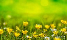 91年11月19日是什么命 农历十月十四出生命运