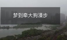 梦到牵大狗漫步