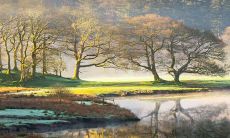 属兔大年初五命运如何2023年 性格特点如何