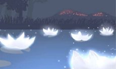 十二星座微信订阅都看什么？