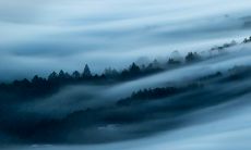 正月初十出生的宝宝好吗2023年 这一天出生的五行解析