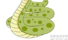 女人梦见蛇预示着什么