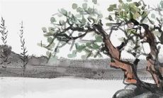 2023兔年5月动土吉日黄历查询 5月哪天动土吉利