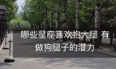哪些星座喜欢抱大腿 有做狗腿子的潜力