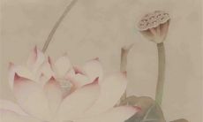 2023癸卯年5月嫁娶黄道吉日一览表 宜出嫁娶亲佳期