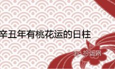 2021辛丑年有桃花运的日柱