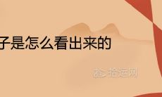 婚姻童子是怎么看出来的