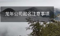 龙年公司起名注意事项
