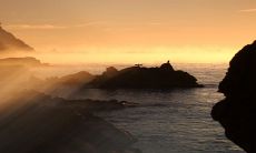 兔年大年初五是什么命2023年 大年初五是什么节日