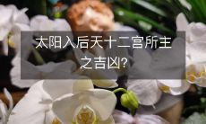 太阳入后天十二宫所主之吉凶?
