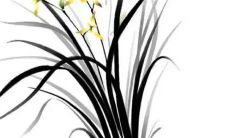 2023年5月12日适宜提车吗 这天日子如何