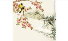 2023年5月15日提车好吗 买车提车合适吗