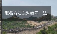 取名方法之对峙同一法