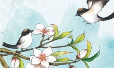 2023年3月16日动土好吗 是建房动土吉利日子吗