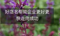 好店名帮助企业更好更快走向成功