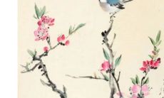 2023年5月3日适合提新车吗 今天日子如何