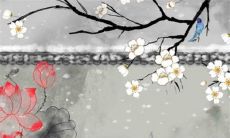 2023年4月23日提车好吗 买车提车合适吗