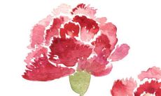 2023年4月27日是提车好日子吗 老黄历查询