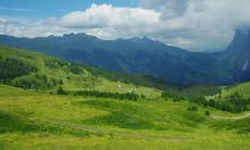 非常喜欢养可爱的宠物的星座是谁