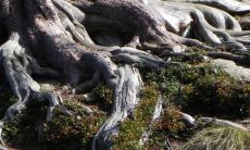 土木夫妻就真的无子吗 怎样避免相克