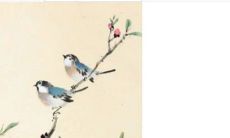 2023年5月2日可以提车吗 日子好不好