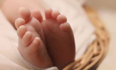 根据出生日期查五行