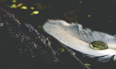 什么颜色能旺水命的人