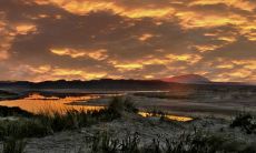 土命人干什么容易发财 最旺的行业有哪些