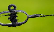 缺金的人戴什么最旺 五行补金的方法