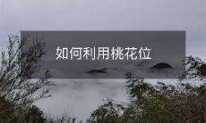 如何利用桃花位