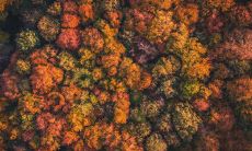 大林木生山下火宝宝好不好