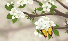 2023年3月14日开工日子好么 是动工良机吗