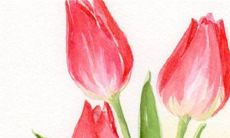 2023年3月3日开工吉利吗 复工动工好不好