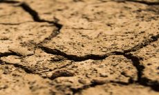 大驿土命禁忌什么颜色