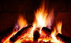 五行火命人选用什么颜色最吉利