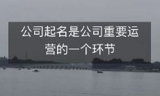公司起名是公司重要运营的一个环节