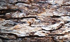 土命人干什么容易发财